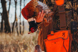 Pheasant Hunting