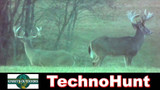 TechnoHUNT is the Best Way to Elevate Your Bow Hunting Skills