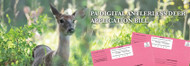 Pink Envelope Change — Digital Antlerless Deer License Applications
