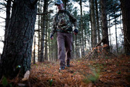 Three Sundays to Hunt