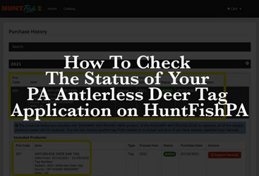 How To Check The Status of Your Pennsylvania Antlerless Deer Tag Application on HuntFishPA