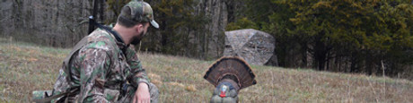 Local Pennsylvania Turkey Hunting Opportunities on Public Land