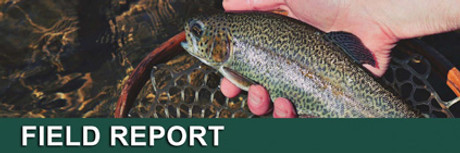 Pennsylvania Fishing Report | Yellow Breeches Creek (July 2018)