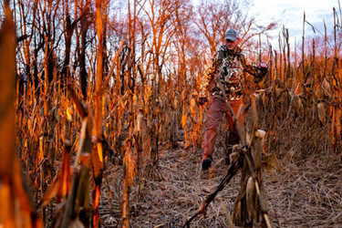 PA Shed Hunting