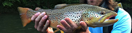 Pennsylvania Trout Stocking Opportunities and Tactics