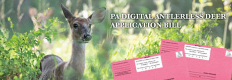 Pink Envelope Change — Digital Antlerless Deer License Applications