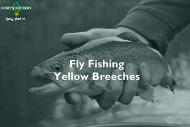 Spring Trout Fishing Series Episode 6 |Fly Fishing the Yellow Breeches Creek