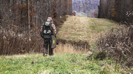 Tips for Public Land Deer Scouting in Pennsylvania
