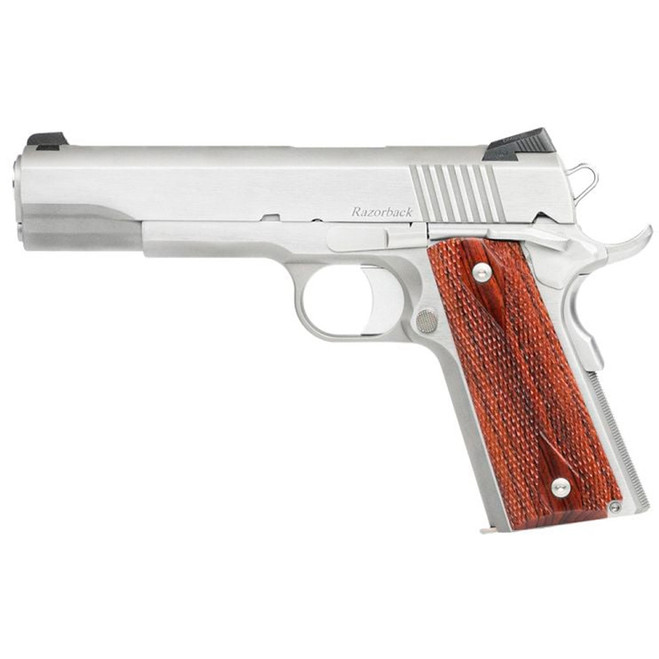 Dan Wesson Razorback Pistol 10mm 5 in. Stainless 8+1 rd.