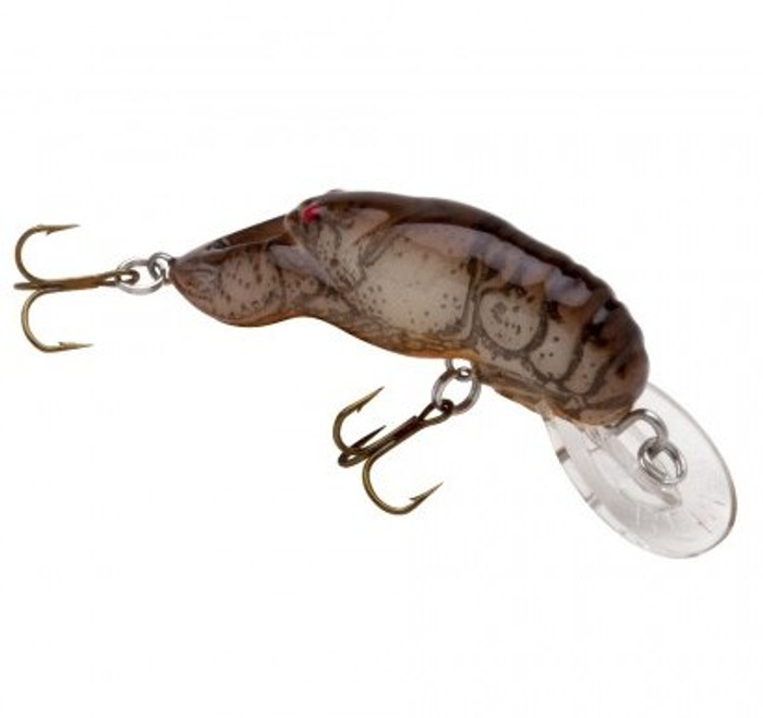 Rebel Teeny Wee Craw Dtch