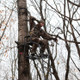 Rivers Edge Bowman Treestand 1-Man 17ft