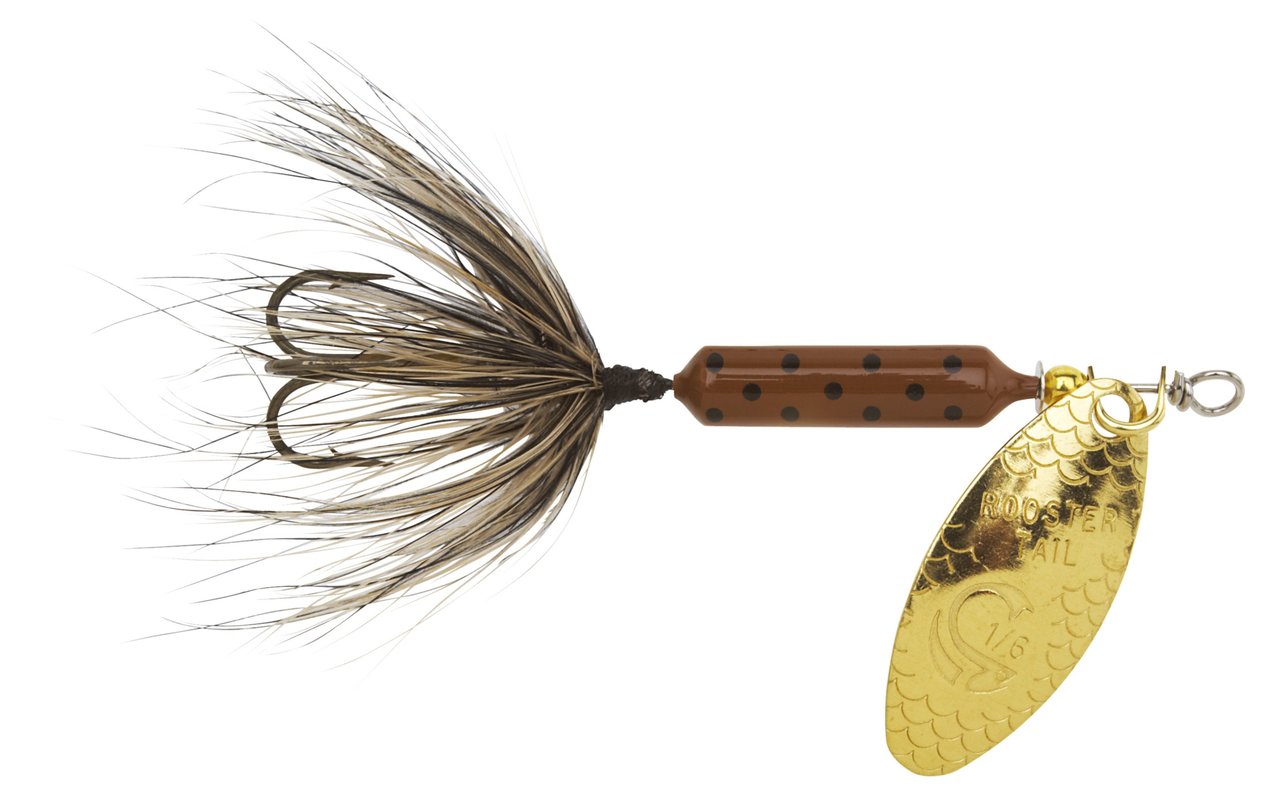  Artist Unknown Wordens S206-YLCD Rooster Tail in-Line Spinner,  2, 1/16 oz Yellow Coachdog : Fishing Floating Lures : Sports & Outdoors