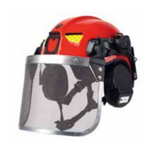 Why Professional Arborists Are Choosing Busch PROtective Helmets