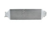 Perrin 2017-2021 Honda Civic Type R FK8 Front Mount Intercooler - Silver