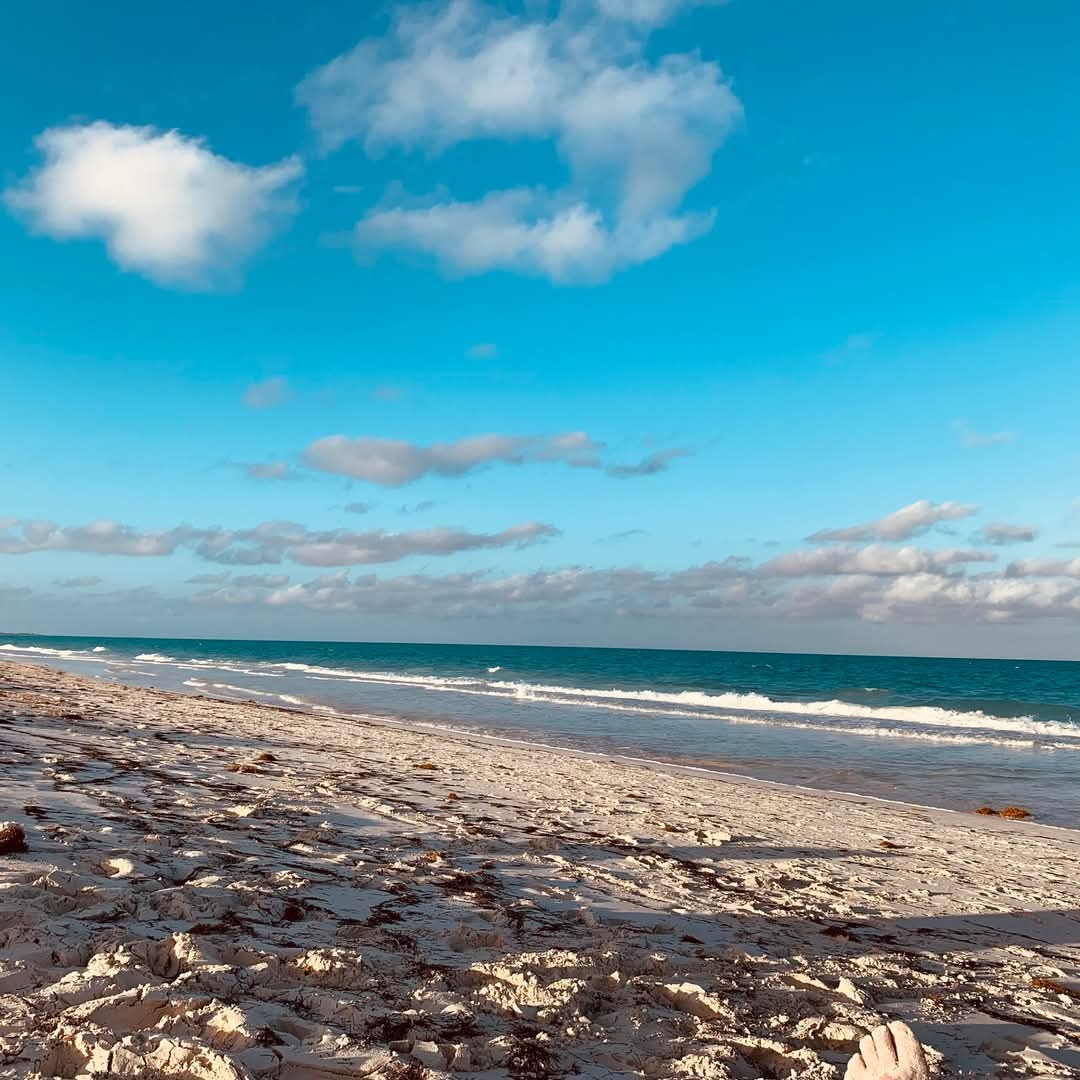 Angela Makaroff- 03/31-2020