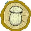Mushroom Marauder