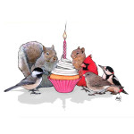 Greeting Card Birthday Wish