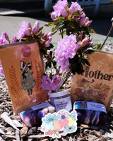 Mother's Day Gifts