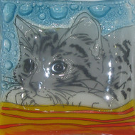 PamPeana Glass Soap Dishes