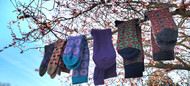 Stock Up On Alpaca Socks!