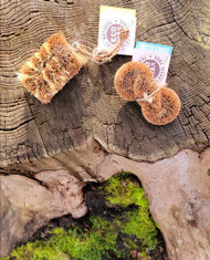 Ethical Global Kitchenware Brushes