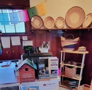 Shop Cat Flora Appreciation