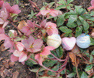 Fizzy Bath Bombs