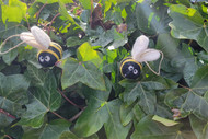 Felted Cat Toys