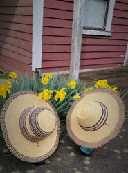 Navy And Natural Straw Hat Selection