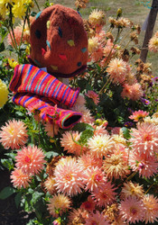 Wool Knitwear Accessories