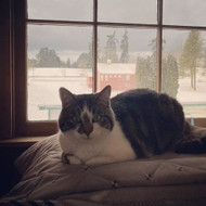 Closed Thursday 12/30