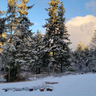 Open Today, Friday 12/31!