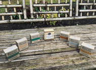 Handcrafted Shampoo Bars