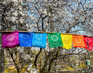 Prayer Flags