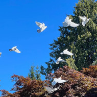 Port Gamble Weddings and Events Open House 