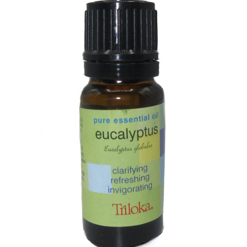Triloka Essential Oil - Eucalyptus
