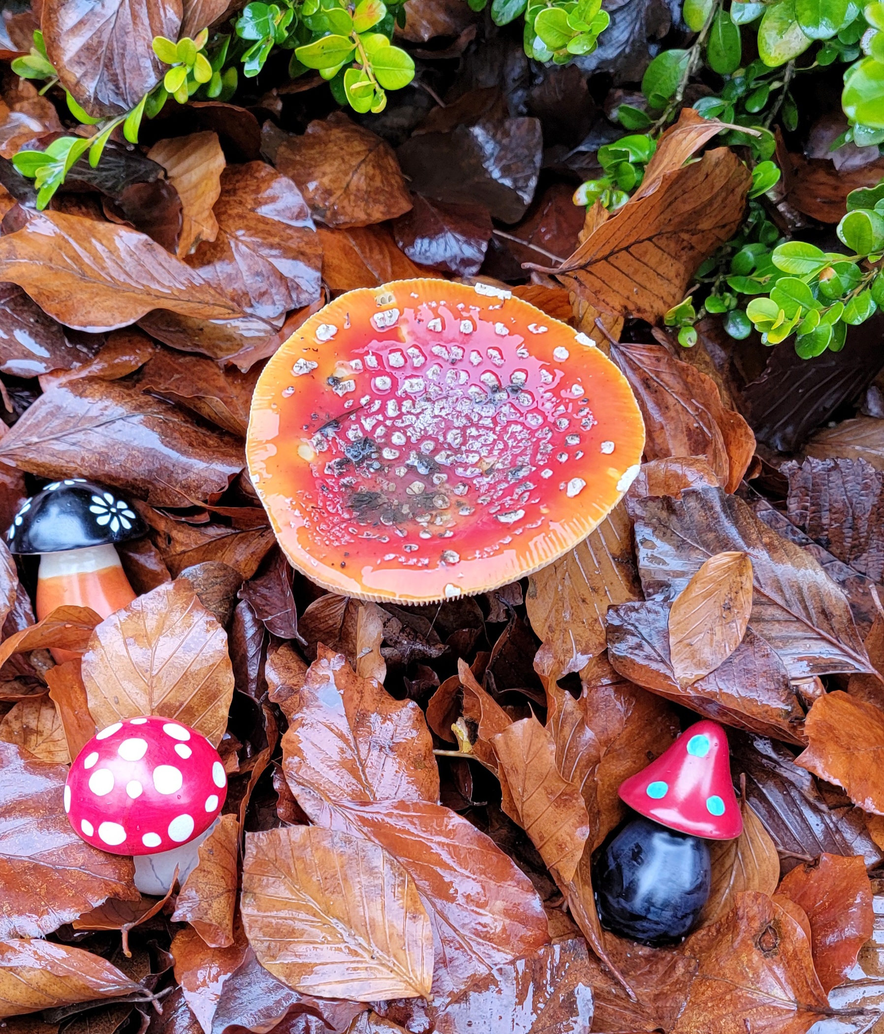 Fair Trade Soapstones