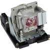 Arclyte PL03523