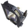 Arclyte PL02451