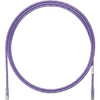 Panduit UTP6A30MVL