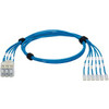 Panduit QPPEDGRS2M