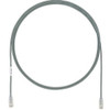 Panduit UTP28X65GY