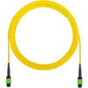 Panduit F9TRP5N5NANF098