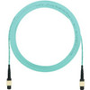Panduit FXTRP5N5NANF097