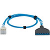 Panduit QPCSDBRSB05