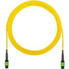 Panduit F9TRP5N5NANF092