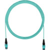 Panduit FXTRP7N7NYNM026