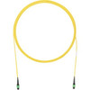 Panduit F98RPGNGNANF085