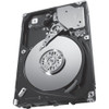 Seagate ST9300653SS