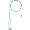 Panduit FX8RP7NUSQNF052